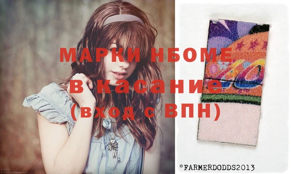 индика Абаза